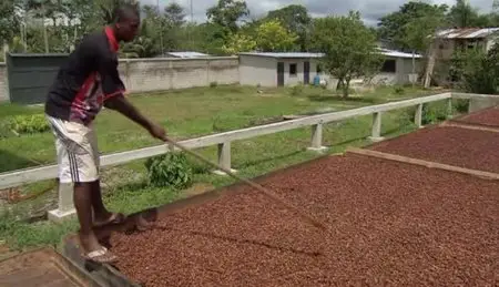 (Arte) Équateur, l'autre pays du chocolat (2012)