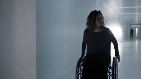 Cult of Chucky / Le Retour de Chucky (2017)