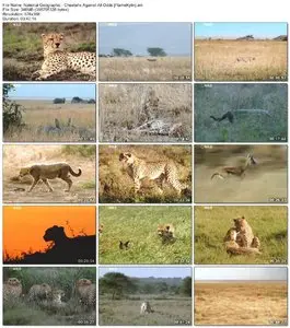 National Geographic: Cheetahs Against All Odds (2008)