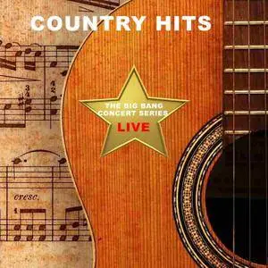 Kenny Loggins, LeAnn Rimes, Ashford & Simpson - The Big Bang Concert Series: Country Hits (Live) (2017)