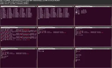 Mastering Linux Command Line