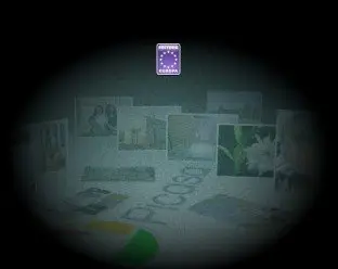 Curso de Google Picasa