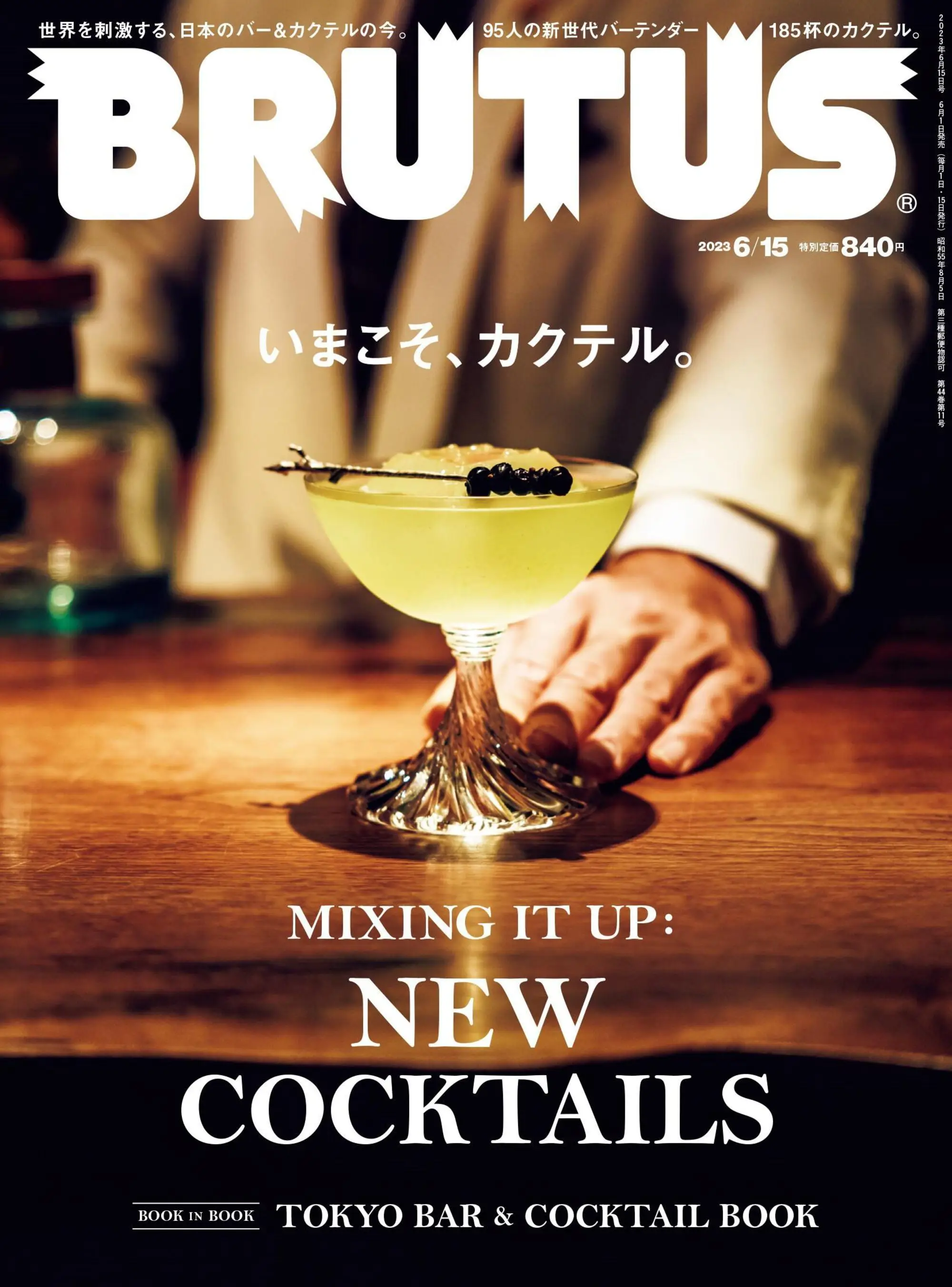 BRUTUS magazine 男性生活杂志 日本文化与休闲生活指南 2023年6月15日