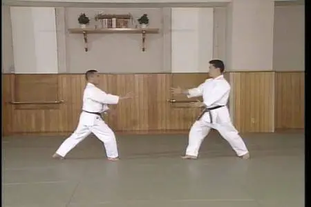 Yoshinkan Aikido: The Complete Set of Techniques