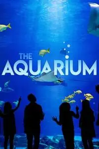 The Aquarium S01E09