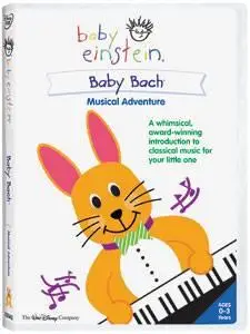 Baby Einstein 12 DVDs