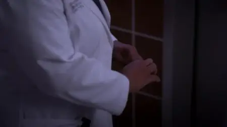 Grey's Anatomy S10E11