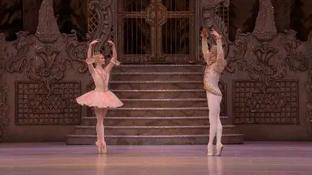 Tchaikovsky - Nutcracker (Wright; Gruzin) 2016 [HDTV 1080i]