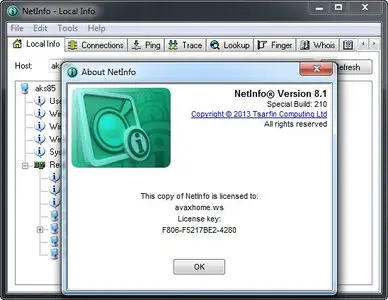 Tsarfin NetInfo 8.1 Build 210