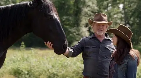 Midnight Stallion (2013)