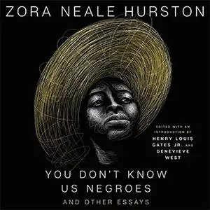 You Don’t Know Us Negroes and Other Essays