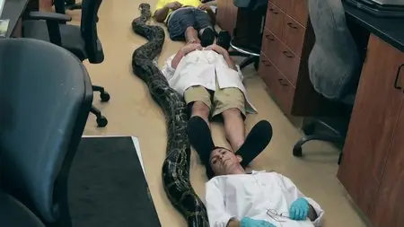 BBC - Animals Unexpected (2015)