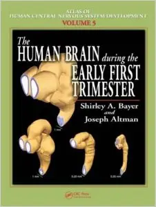 The Human Brain During the Early First Trimester (Atlas of Human Central Nervous System Development, Volume 5) (repost)