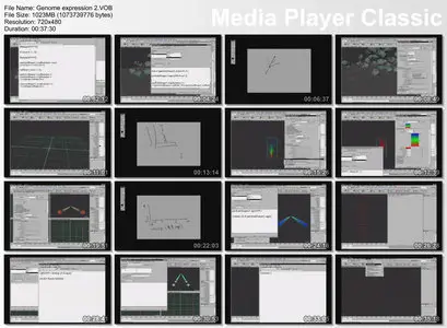 The Gnomon Workshop: Particle Expressions – Volume 1 & 2