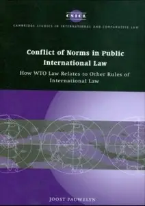 Conflict of Norms in Public International Law: How WTO Law Relates to other Rules of International Law