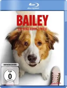 Bailey - Ein Hund kehrt zurück / A Dog's Journey (2019)