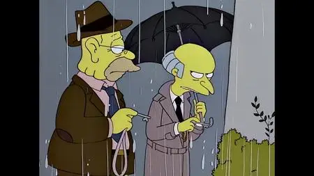 Simpsons S07E22