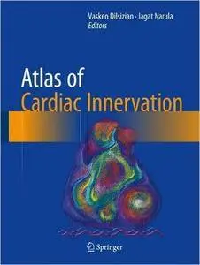 Atlas of Cardiac Innervation (repost)