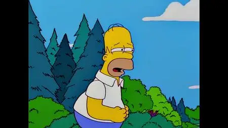 Die Simpsons S09E23