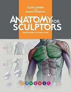Anatomy For Sculptors / TavazSearch