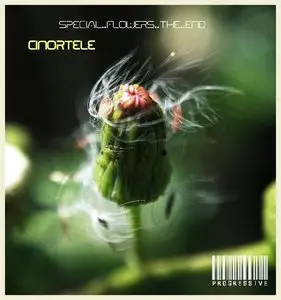 Cinortele - Special Flowers The End