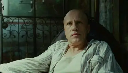 The Zero Theorem (2013)