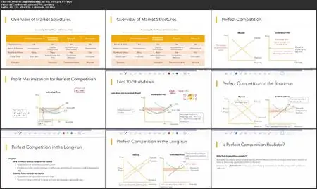 Principles of Economics 101: Complete Micro & Macro