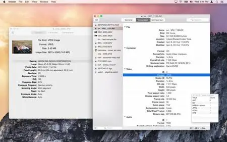 Invisor Media File Inspector 3.8 Mac OS X