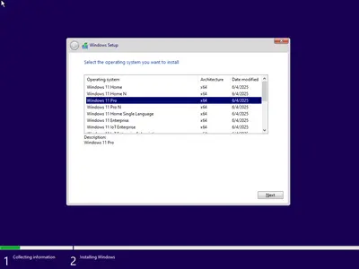 Windows 11 AIO 16in1 24H2 Build 26100.4202 (No TPM Required) Preactivated
