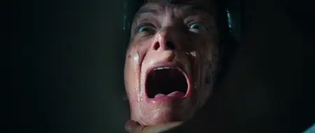 Traumatika (2024)