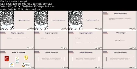 The Complete Regular Expressions(Regex) Course For Beginners