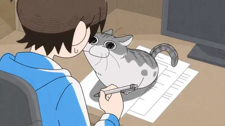 Nights With a Cat S01E12 Night 12 Attention Seeking Cat