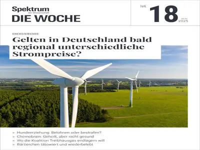 Spektrum Die Woche - 1 Mai 2025