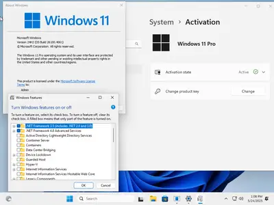 tiny11 Core 24H2 Build 26100.4061 Multilingual Preactivated
