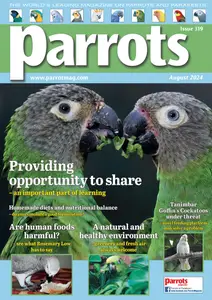 Parrots - August 2024