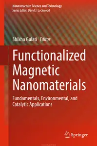 Functionalized Magnetic Nanomaterials
