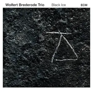 Wolfert Brederode Trio - Black Ice (2016) [Official Digital Download 24-bit/96kHz]