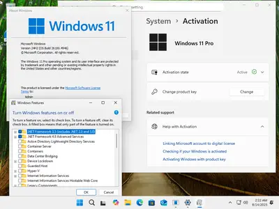 Windows 11 Pro 24H2 Build 26100.4946 (No TPM Required) Preactivated Multilingual August 2025