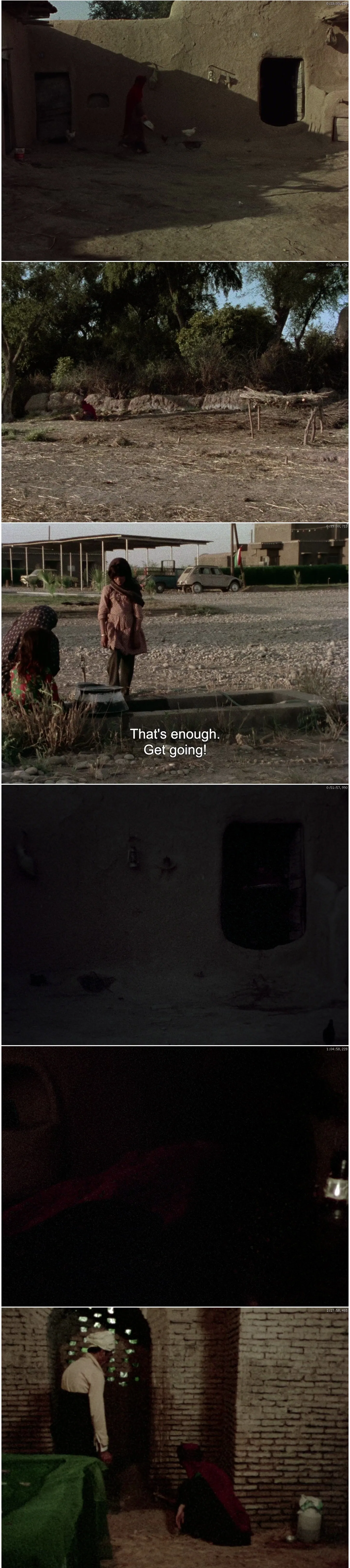 The Sealed Soil (1977) The Sealed Soil (1977)