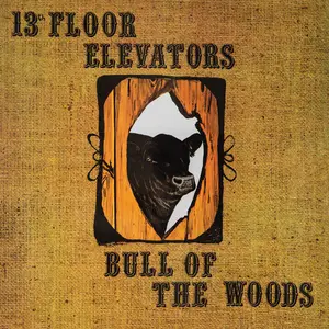 13th Floor Elevators - Bull of the Woods (QFPS Version) (1969/2024) (Hi-Res)