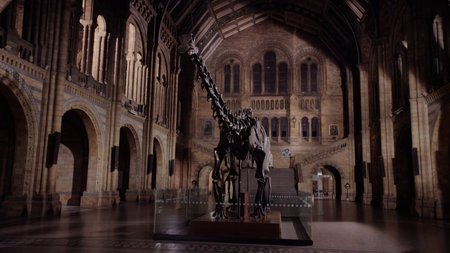 David Attenborough’s Natural History Museum Alive (2013)