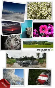 UHQ Nature Wallapack 1