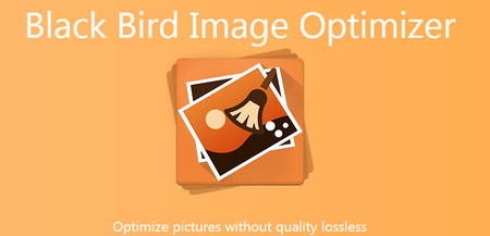 Black Bird Image Optimizer Pro 1.0.2.2 Portable
