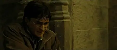 Harry Potter and the Deathly Hallows: Part 2 (2011)
