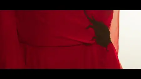 In Fabric (2019)