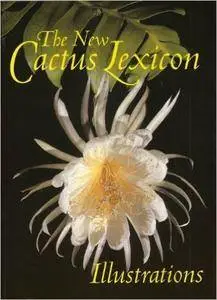 The New Cactus Lexicon - Atlas of illustrations