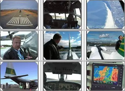 Just Planes - LYNDEN AIR CARGO