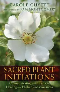 Sacred Plant Initiations: Communicating with Plants for Healing and Higher Consciousness