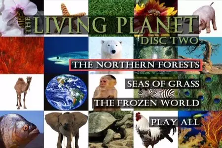 BBC - The Living Planet