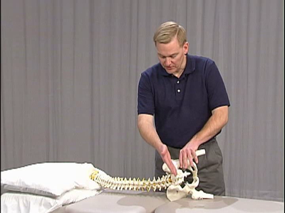 Manual Physical Therapy of the Spine